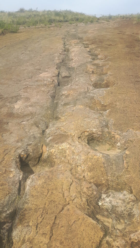 Impronte e fossili nel parco nazionale di Torotoro